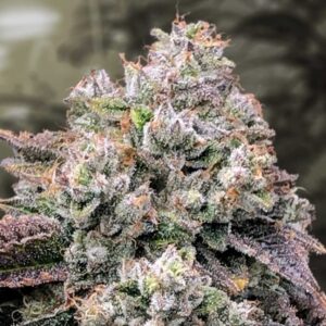 Strawberry Banana Fast HSB