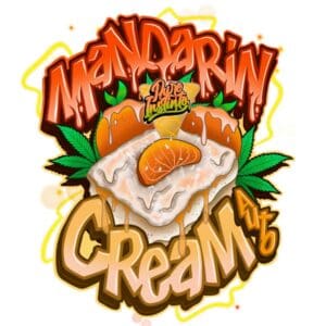 Mandarine Cream Auto