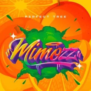 Mimozz