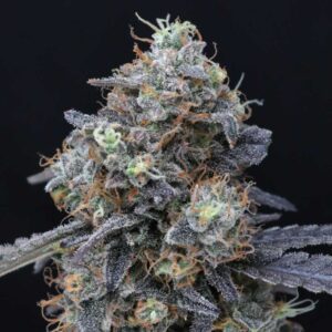 Minty Grape Kush