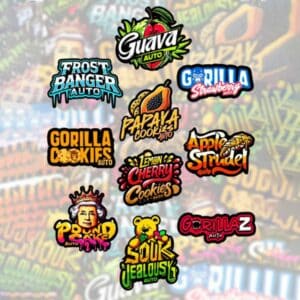 Mix Pack Auto