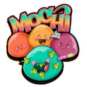 Mochi