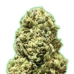 Monster Girl Scout Cookies