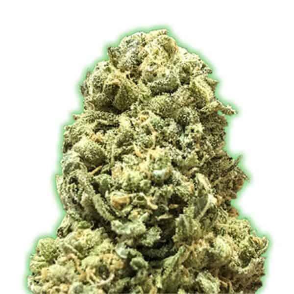 Monster Girl Scout Cookies