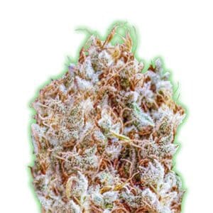 Monster Zkittlez