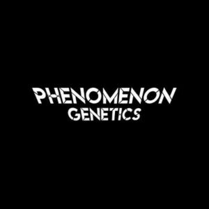 Phenomenon Genetics