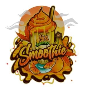 Smoothie