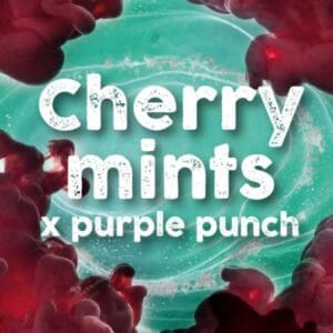 Cherry Mints x Purple Punch