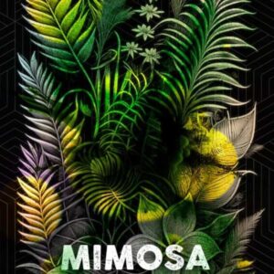 Mimosa Mints