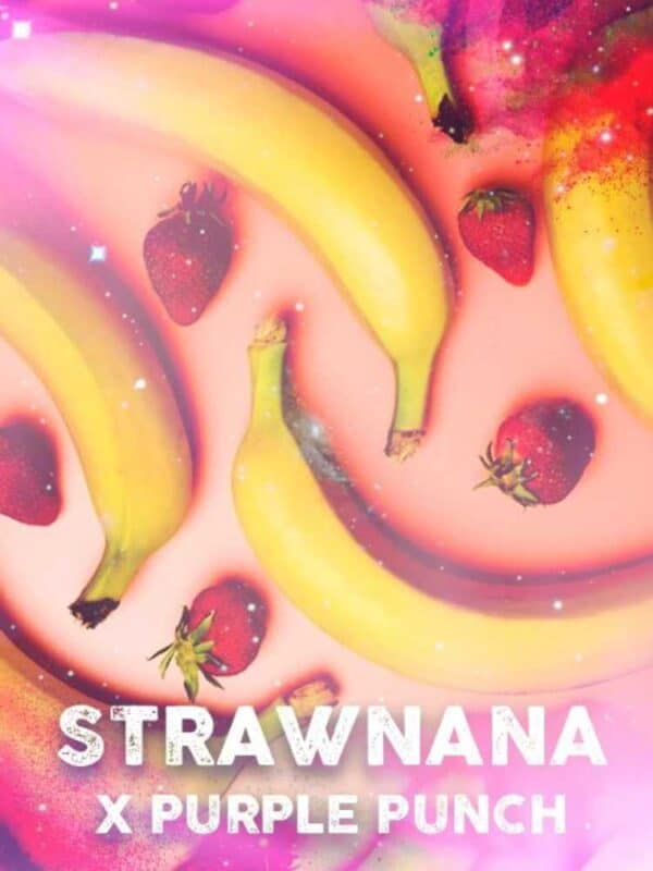 Strawnana x Purple Punch