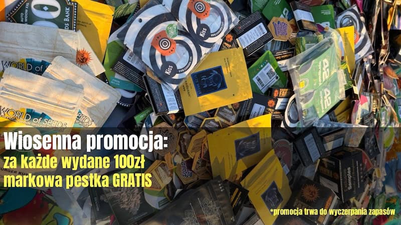 nasiona marihuany promocja
