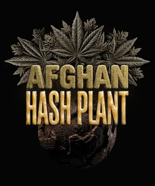 Afghan Hash Plant