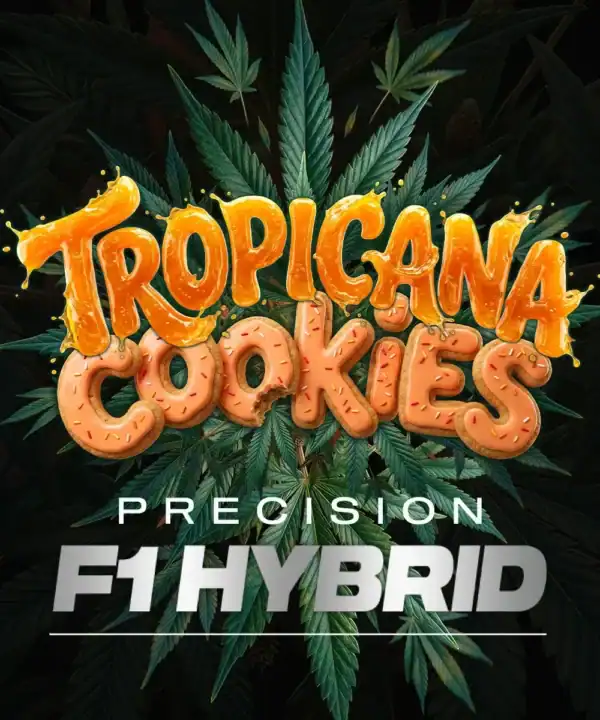 Tropicana Cookies F1 Auto